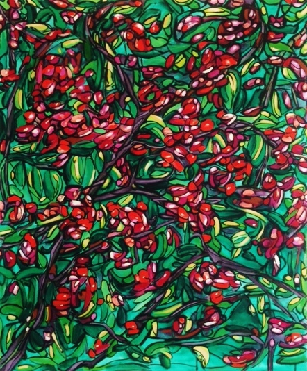 Dawson Bougainvillea, Approx. 48x57
